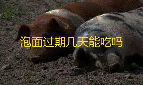 暗区免root科技泡面过期几天能吃吗